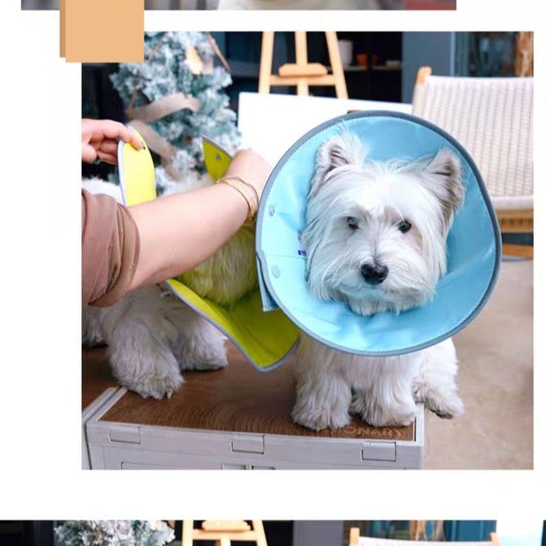 Cono isabelino de tela impermeable para mascotas
