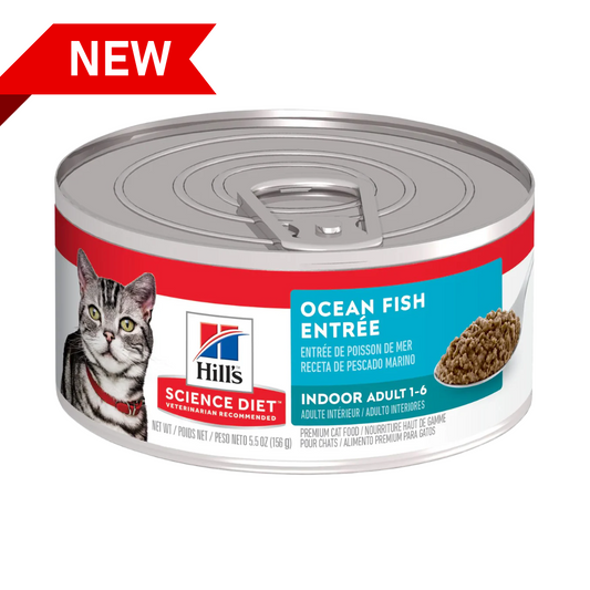 Comida Húmeda para Gato Hills: Adult Indoor 156gr