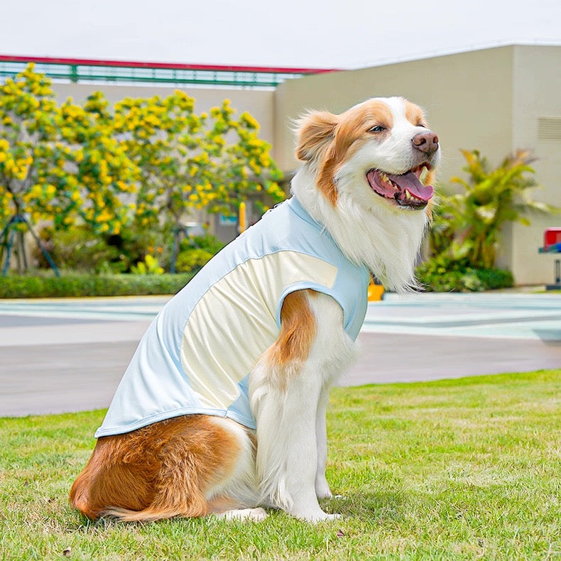 Camisa fresca para mascotas pequeñas, medianas y grandes