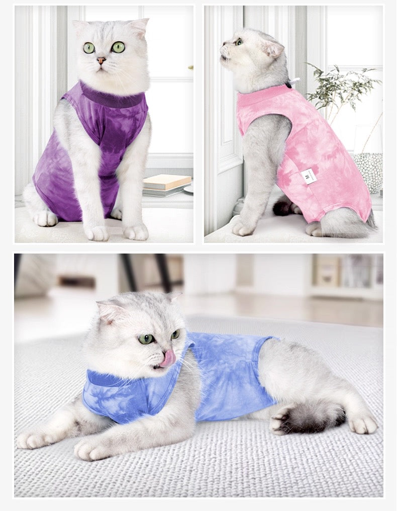 Traje postoperatorio para gatos
