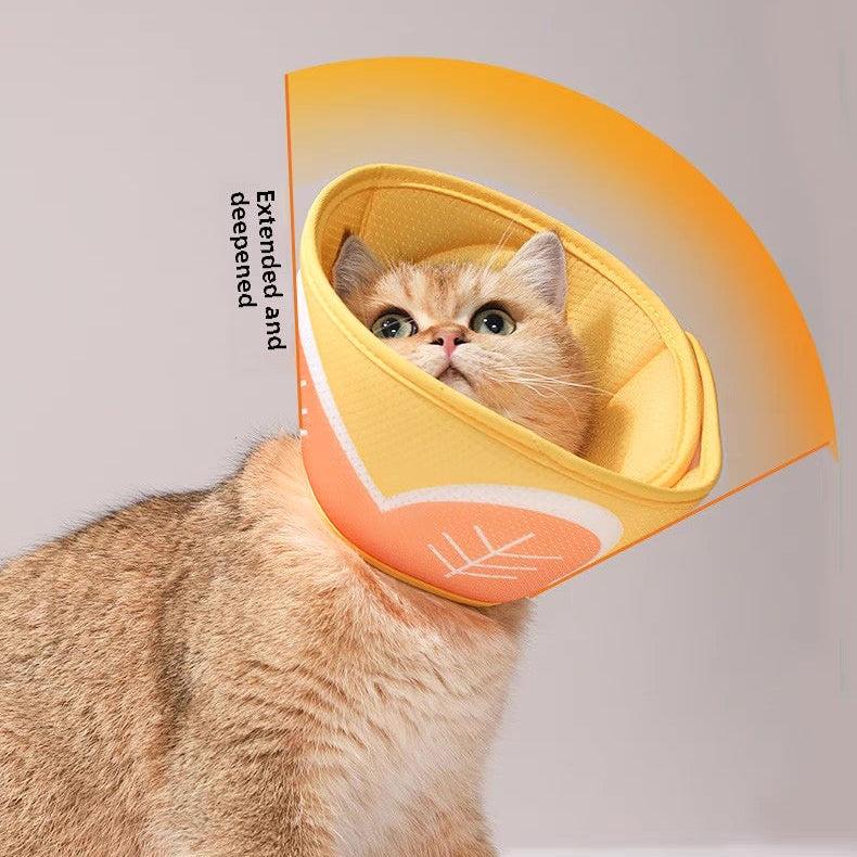 Cono isabelino suave para gatos y perros