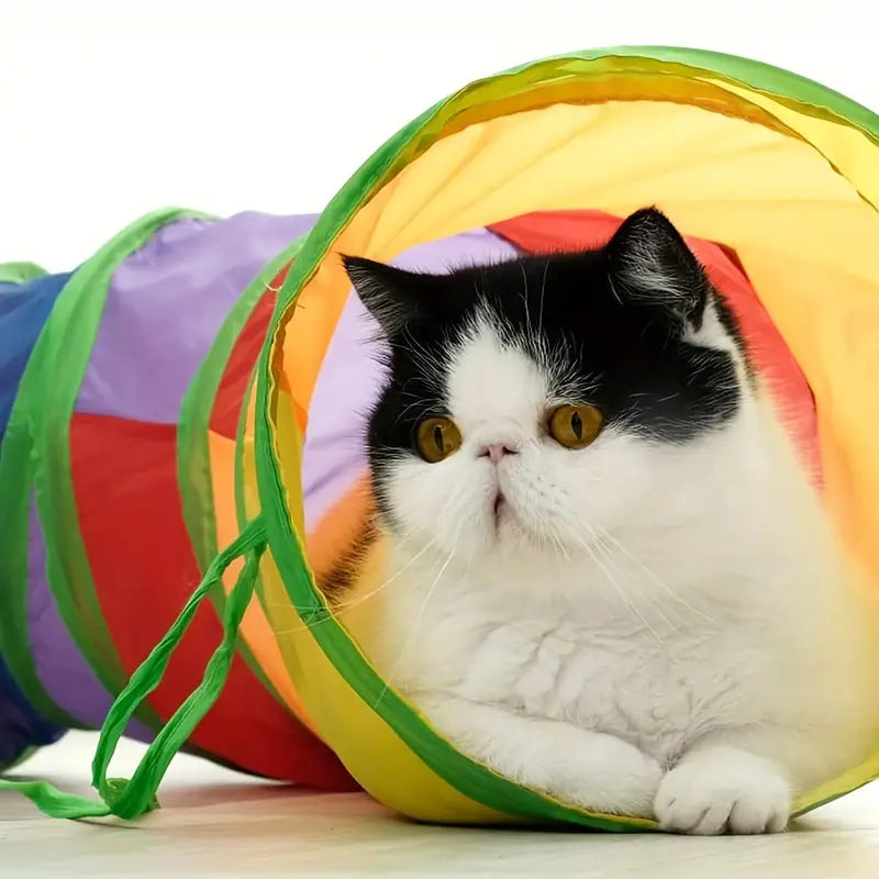 Túnel arcoíris para gatos