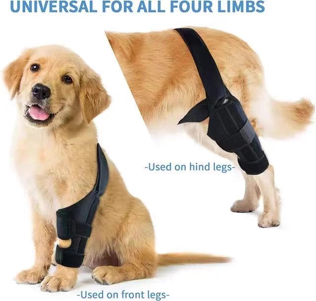 Soporte de patas para perros medianos y grandes