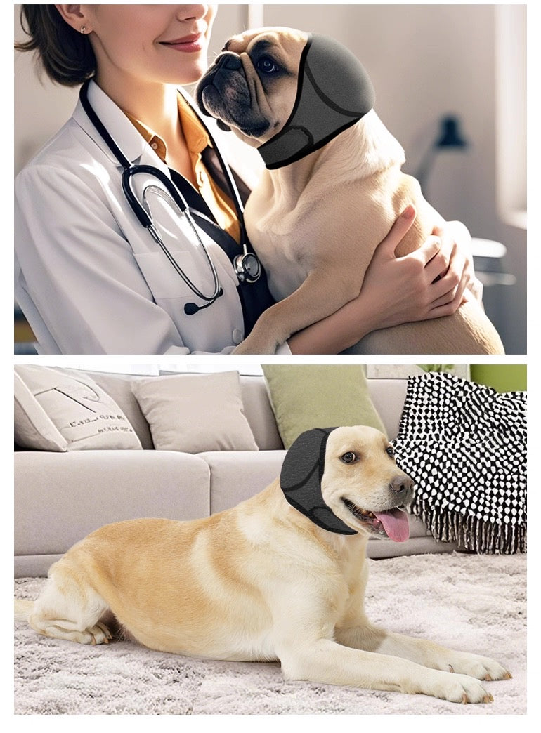 Tapa orejas terapéutico para perros (Protector de orejas) #1