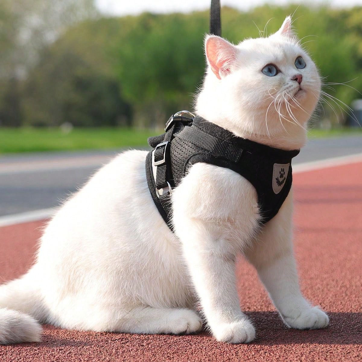 Pechera de velcro con reflectante para gatos