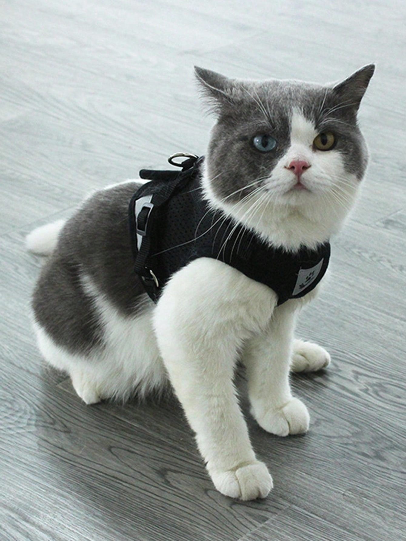 Pechera de velcro con reflectante para gatos