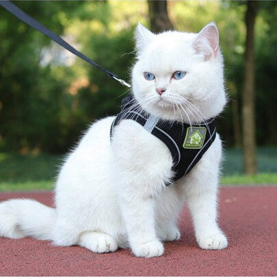Pechera para gatos reflectante con tela transpirable