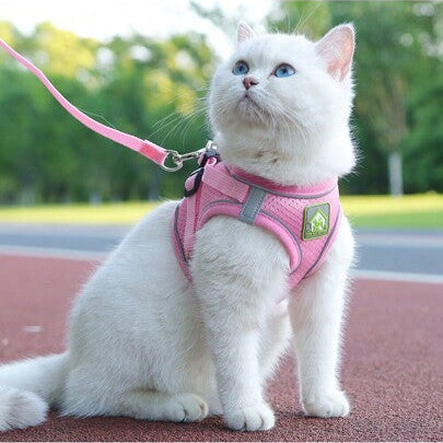 Pechera para gatos reflectante con tela transpirable