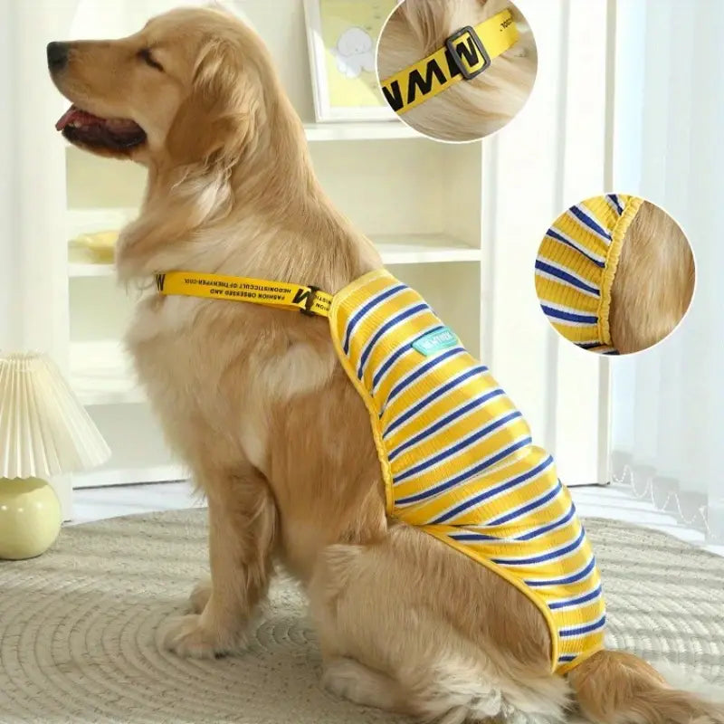 Traje para hembras en celo absorbente para perros medianos y grandes
