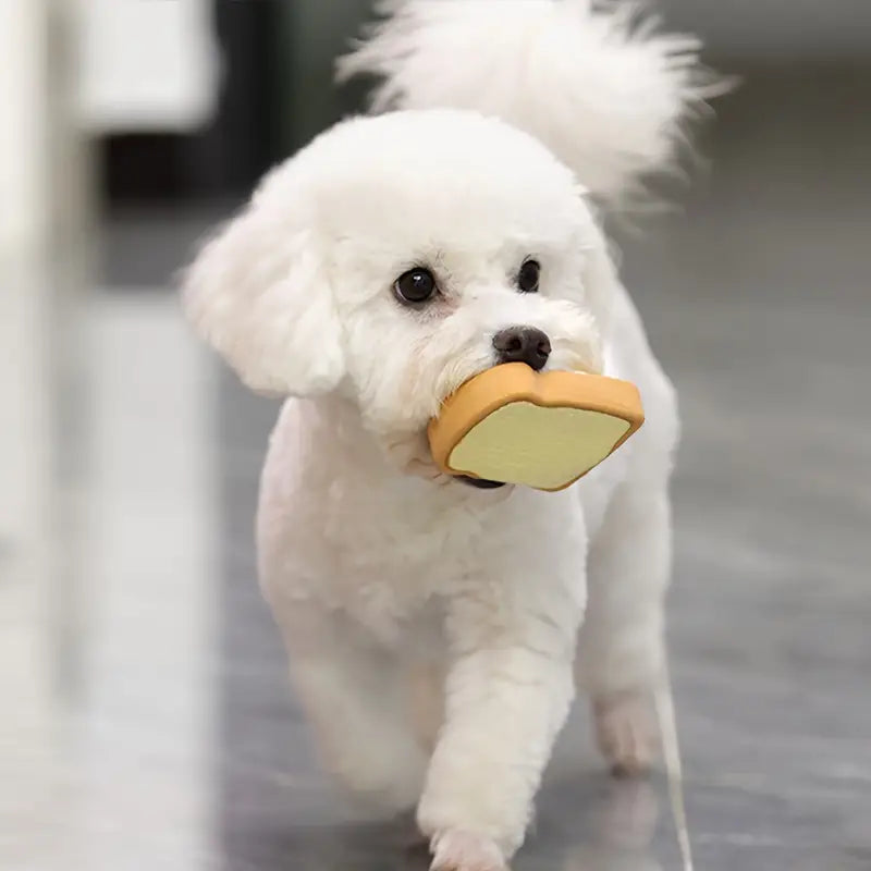 Juguetes pequeños de goma para perros