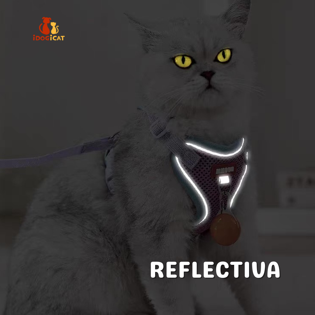 Pechera anti escape reflectiva para gatos