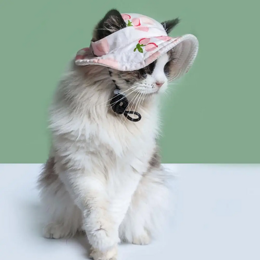 Sombrero con estampado para mascotas