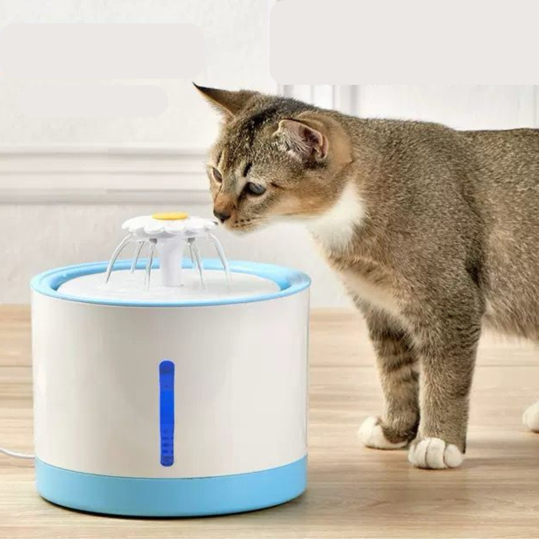 Fuente eléctrica para mascotas estilo flor