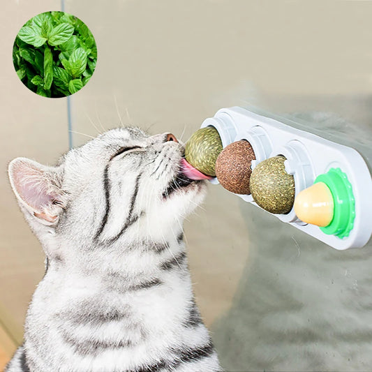 Catnip de 4 piezas adherible a pared y muebles para gatos