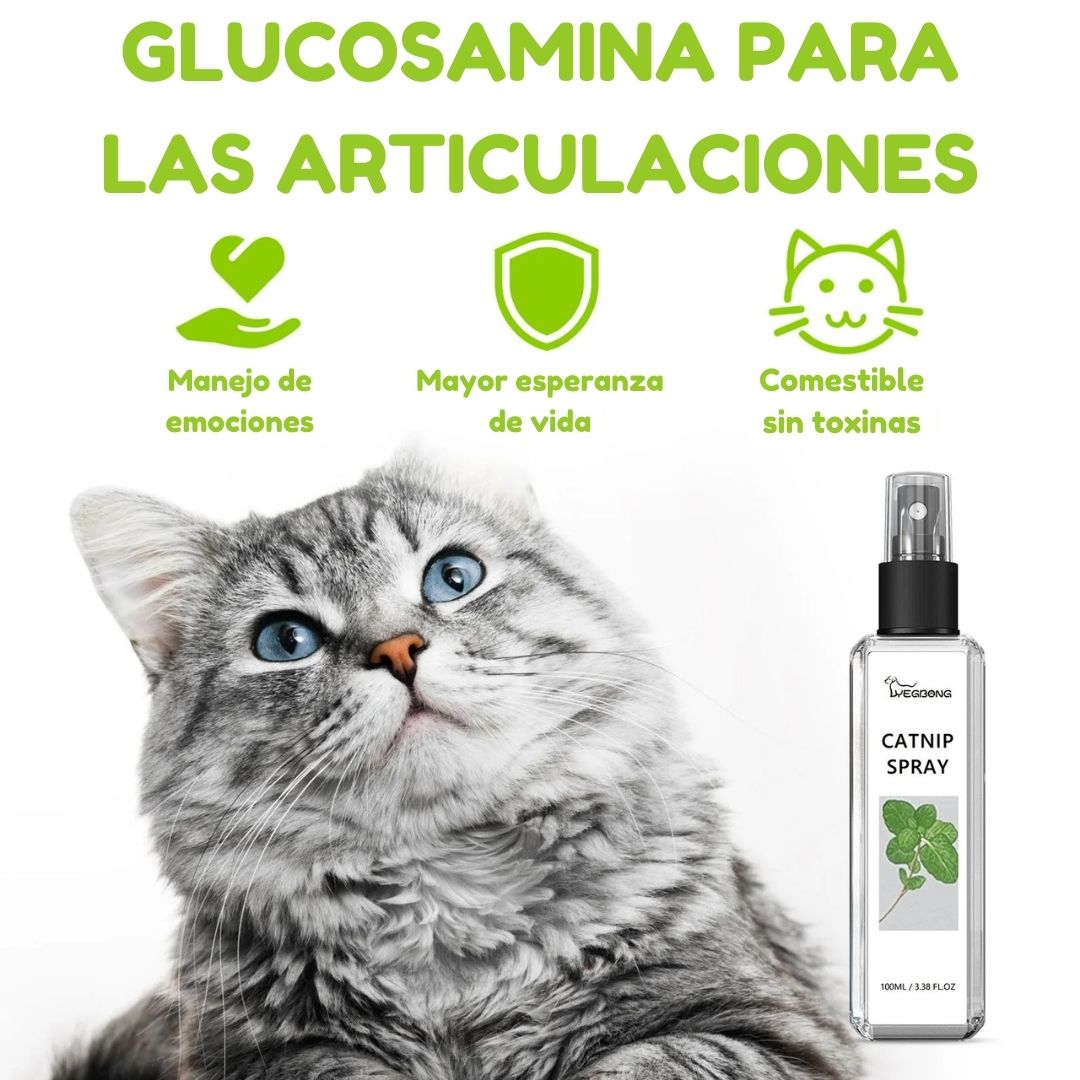 Catnip en Spray para Gatos 100ml