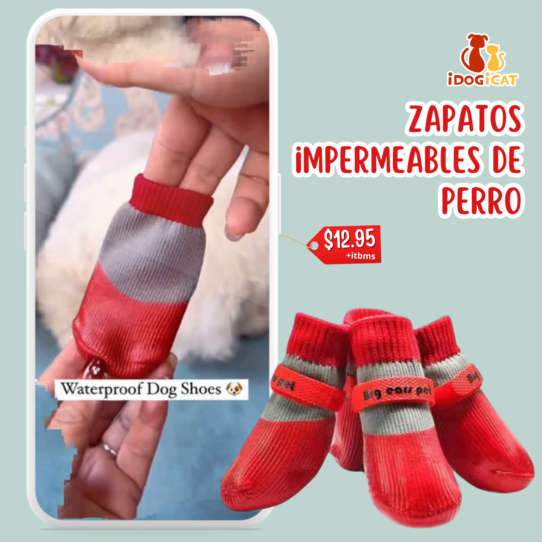 Medias impermeables para perros