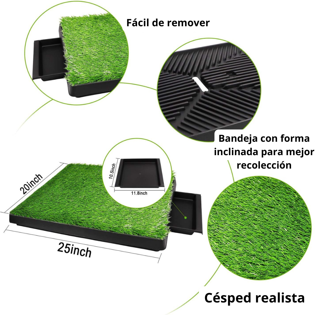 Césped inodoro para perros