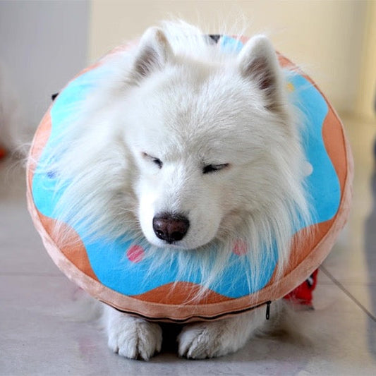 Collar inflable isabelino para mascotas grandes estilo dona