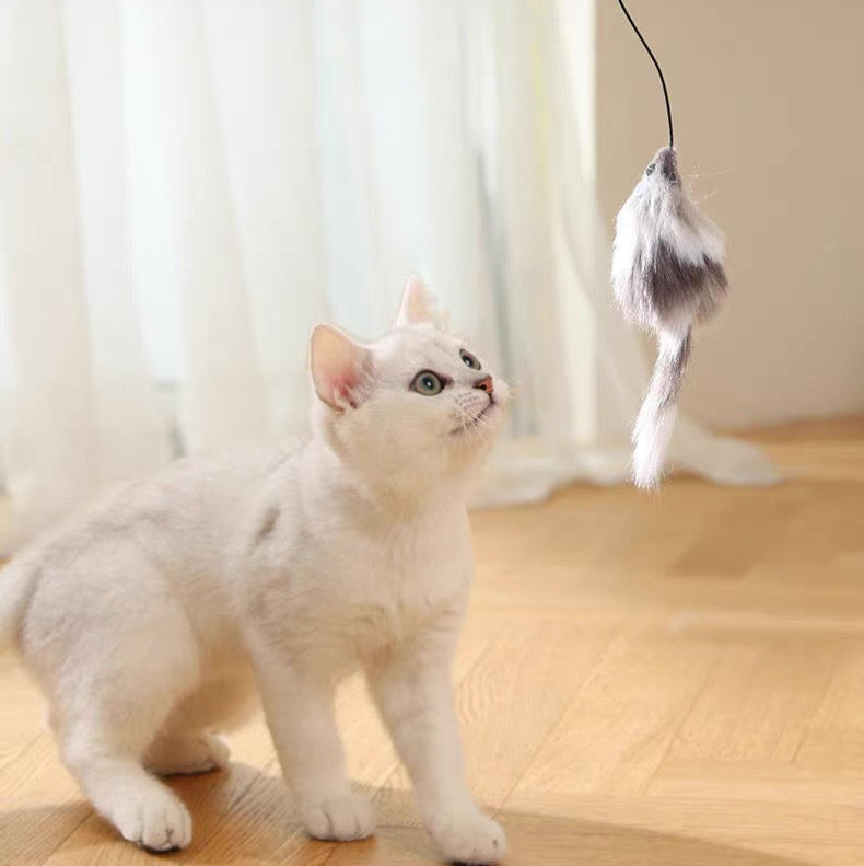 Pelota interactiva para gatos con ratón (Batería AA)