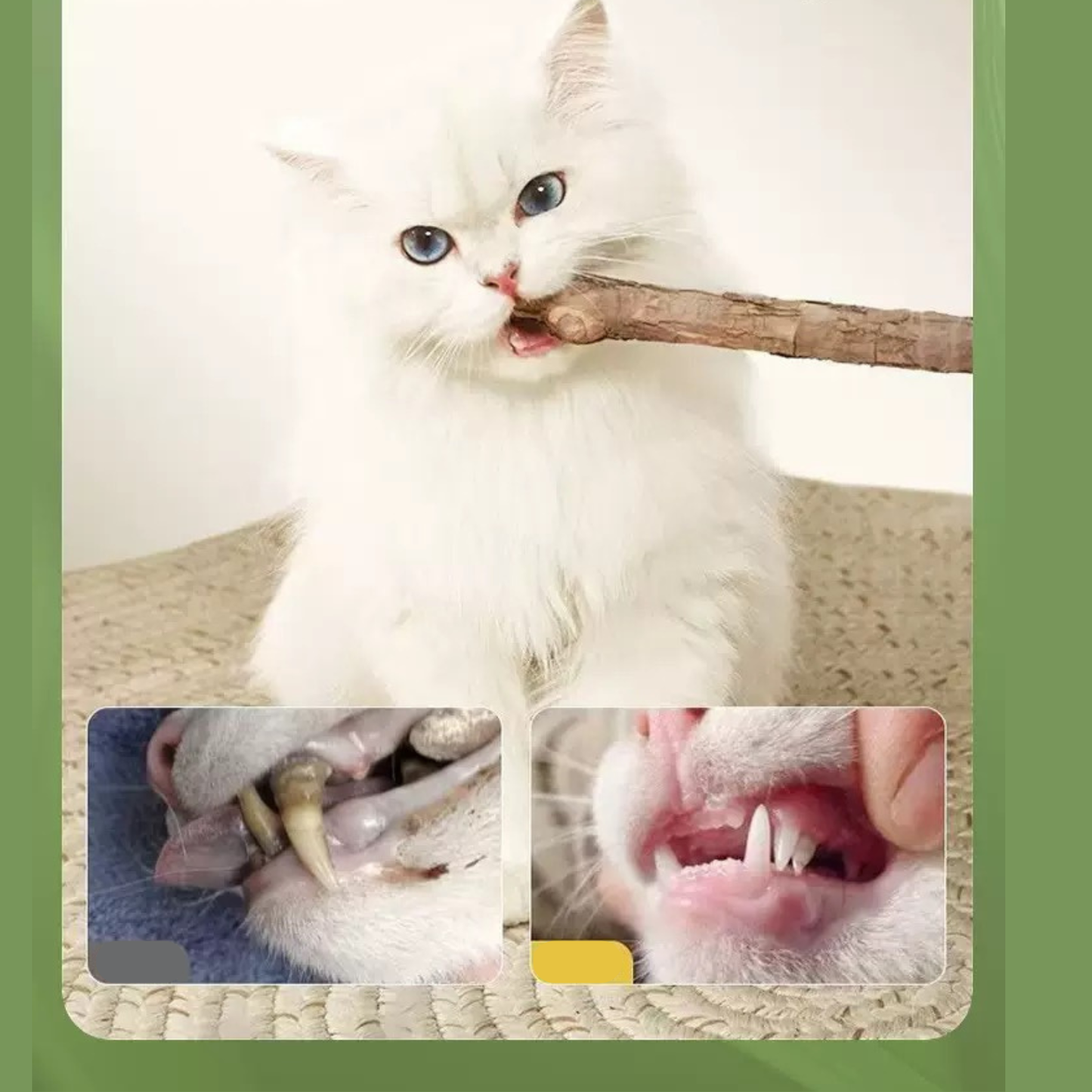 Juguete de gato con Catnip y matatabi forma de oruga