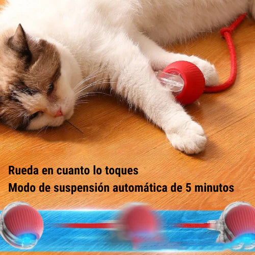 Pelota interactiva con cuerda para mascotas