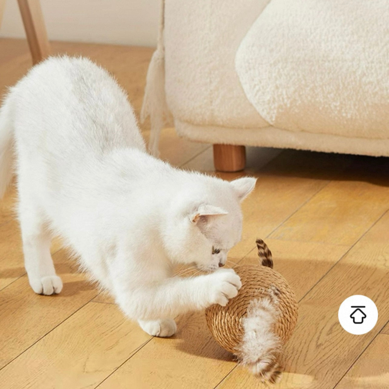 Pelota para gatos de cuerda de sisal 10cm