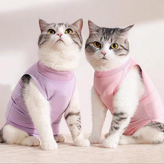 Traje de recuperación de cirugías y heridas para gatos
