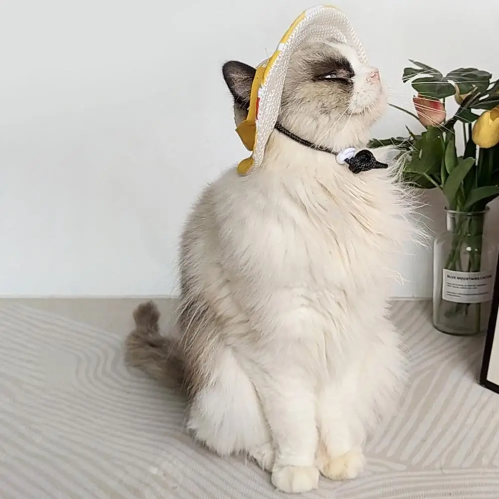 Sombrero con estampado para mascotas