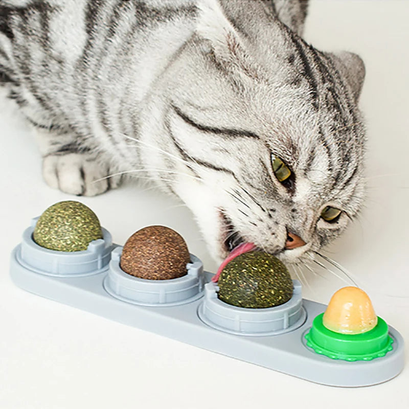 Catnip de 4 piezas adherible a pared y muebles para gatos
