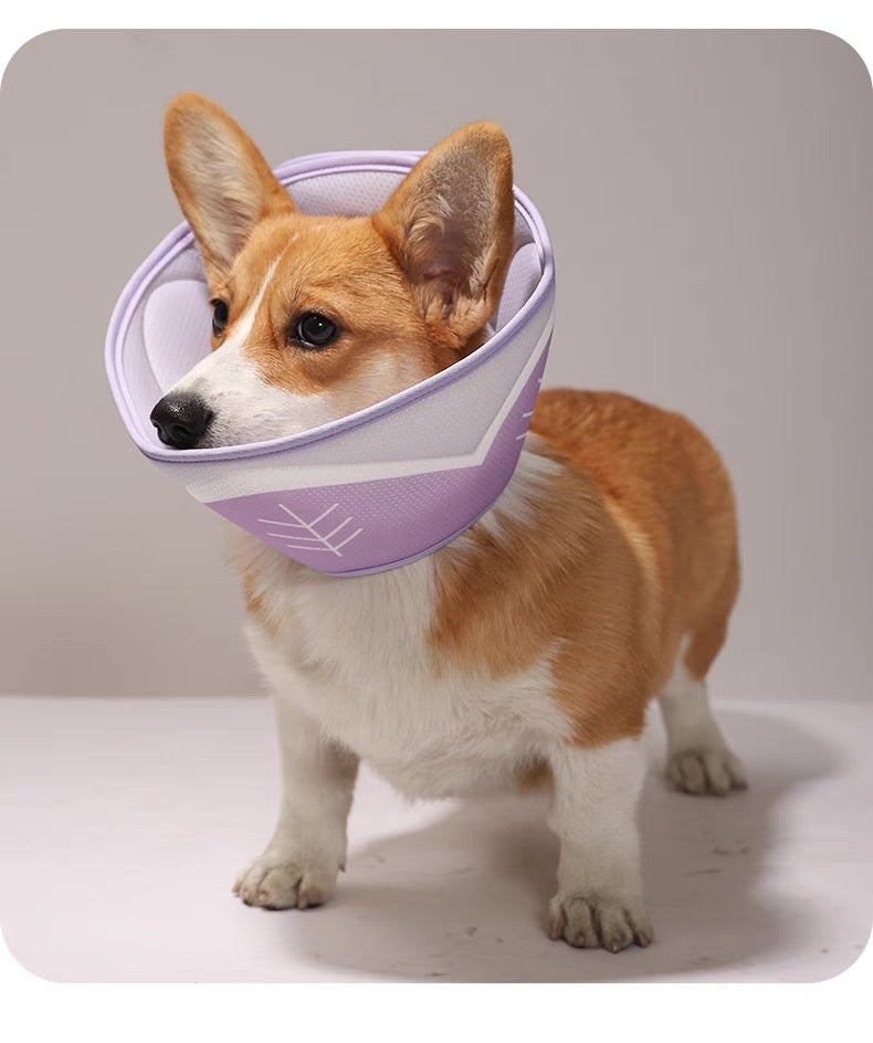 Cono isabelino suave para gatos y perros