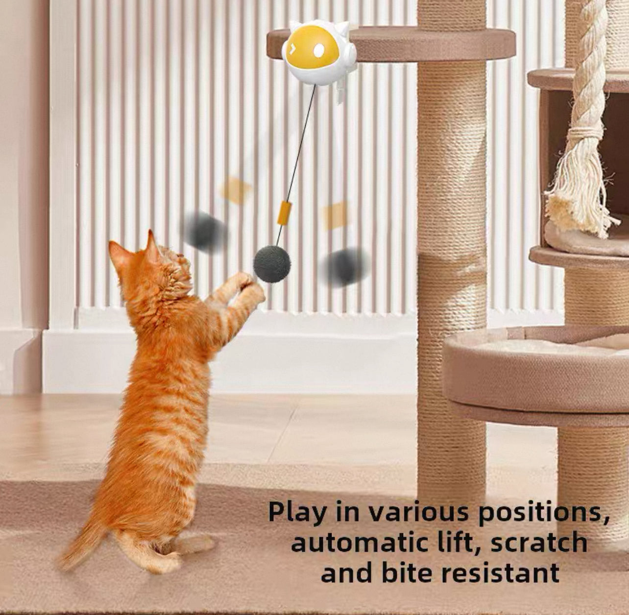 Juguete automático para gatos