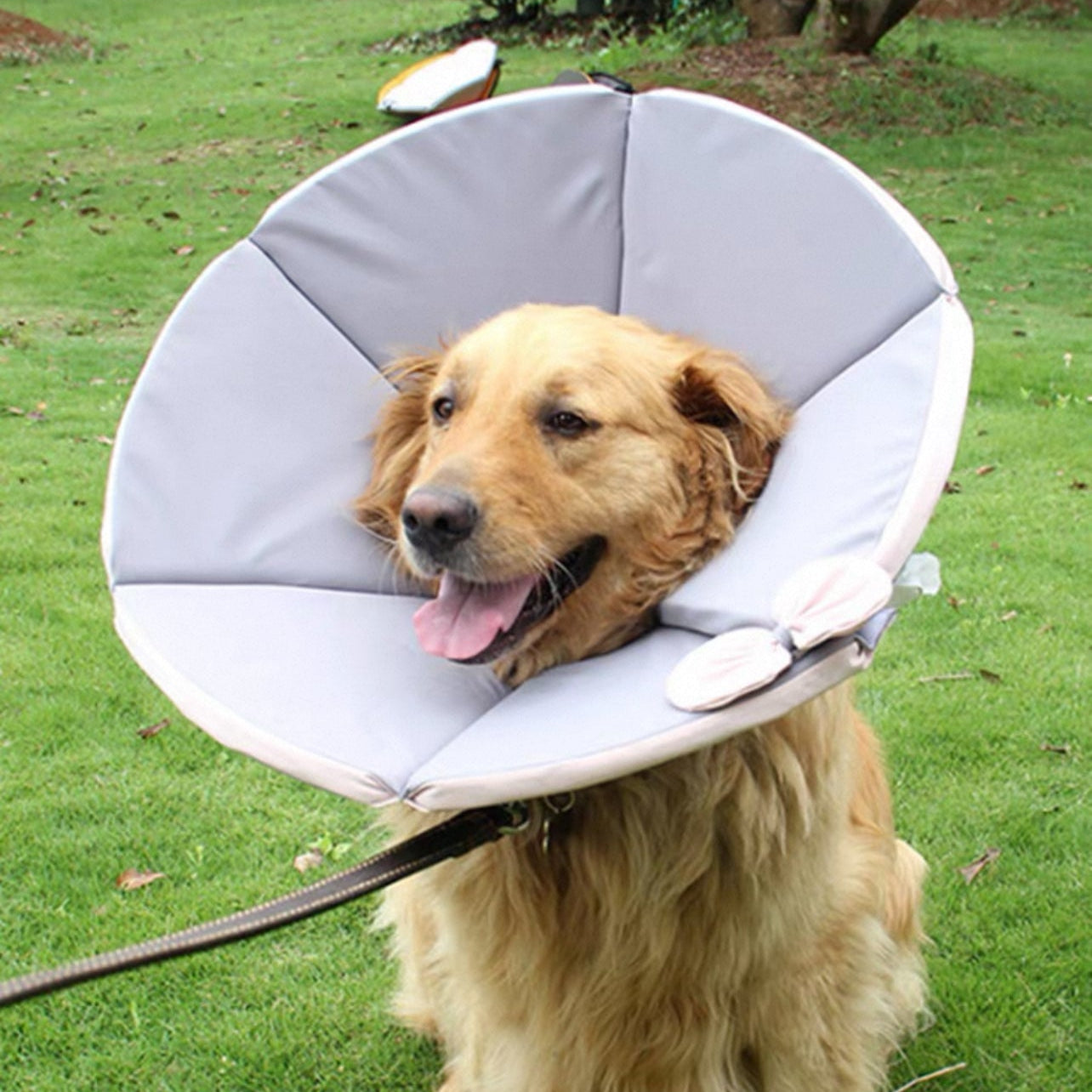 Cono isabelino para perros grandes con lazito de tela