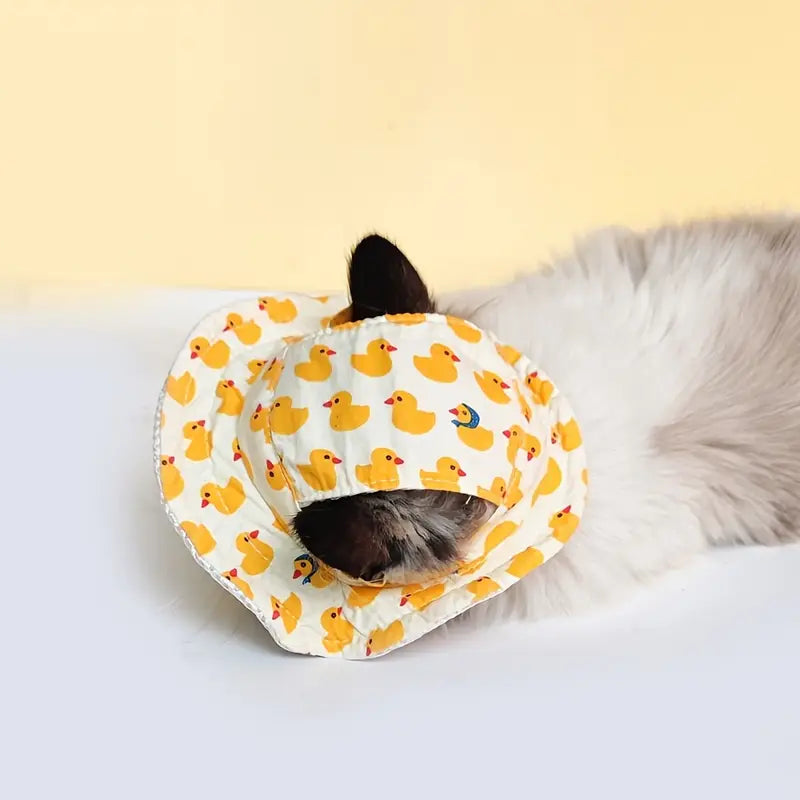 Sombrero con estampado para mascotas