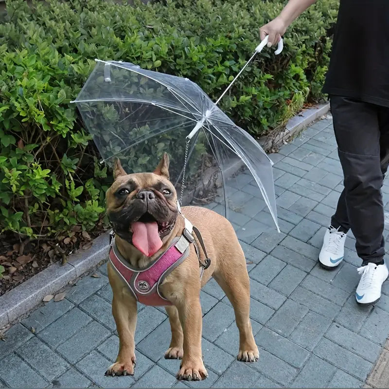 Paraguas para mascotas pequeñas (70cm diametro)