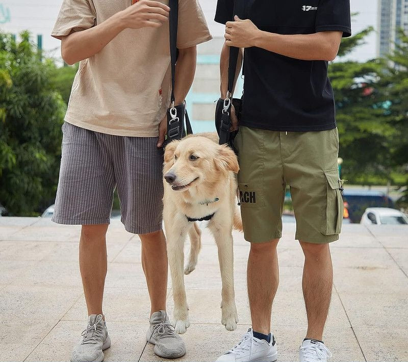 Arnés de transporte para perros