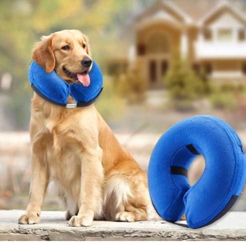 Collar inflable isabelino para mascotas grandes