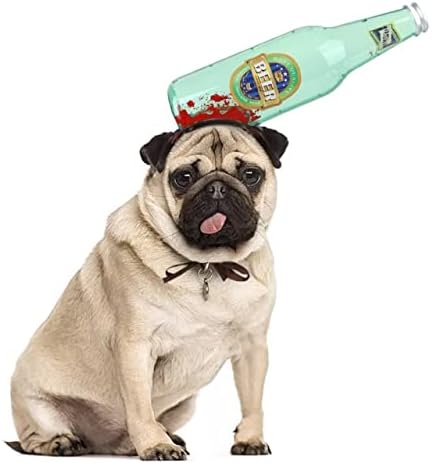 Sombrero de botella rota para Halloween