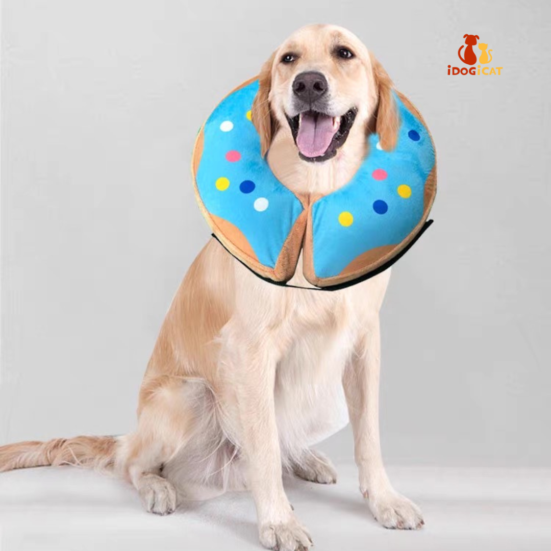 Collar inflable isabelino para mascotas grandes estilo dona