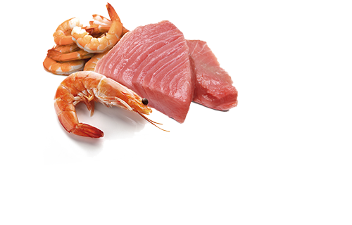 Comida Húmeda para Gato Farmina: N&D, Lata ocean Atún y camarón 70g