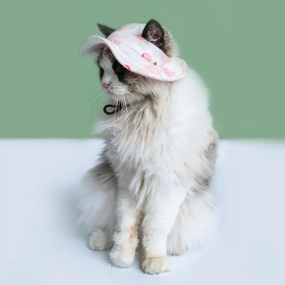Sombrero con estampado para mascotas