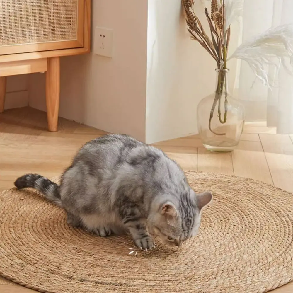 Alfombra de yute para gatos (rascador y decorador de hogar)