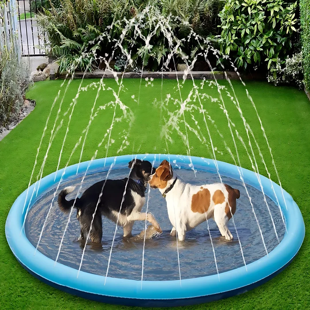 Piscina inflable de splash para perros
