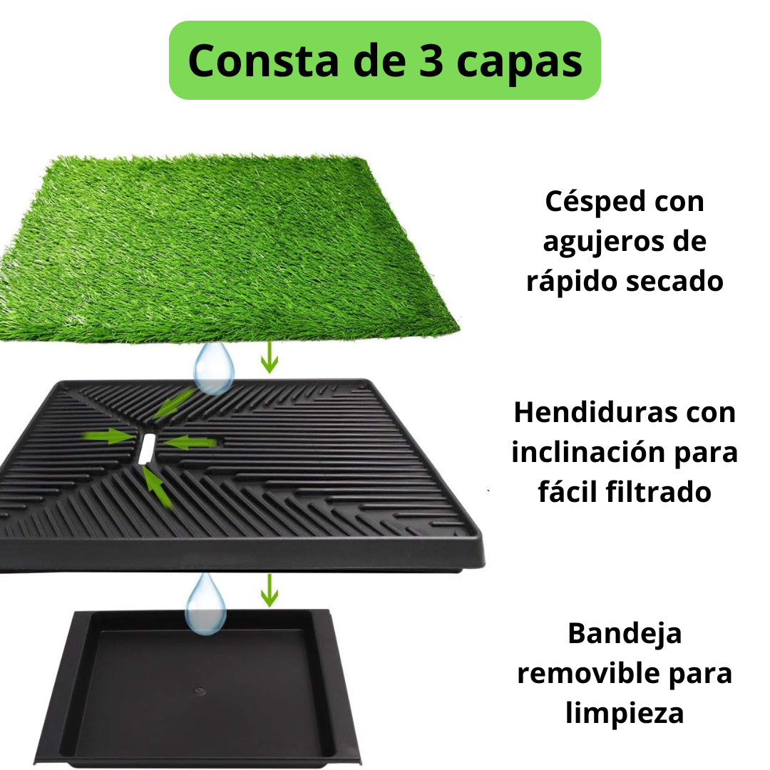 Césped inodoro para perros