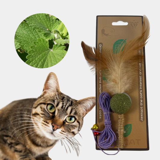 Catnip de juguete colgante para gatos