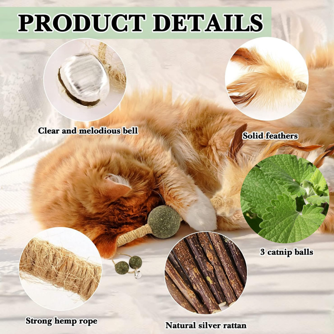 Catnip de juguete colgante para gatos
