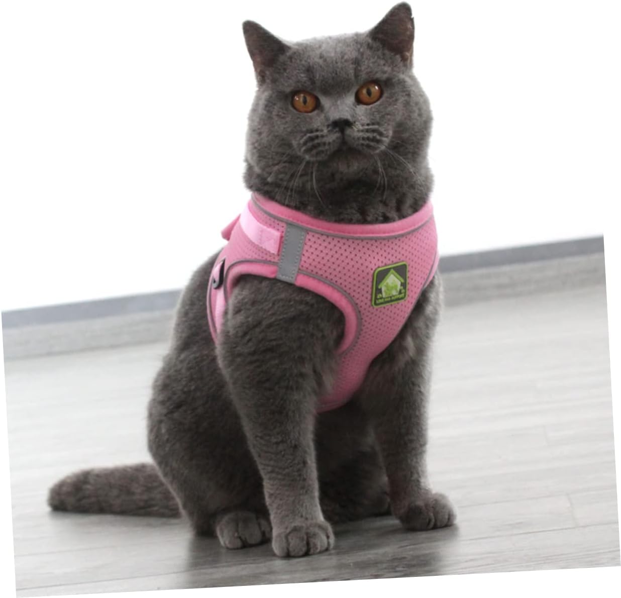 Pechera para gatos reflectante con tela transpirable