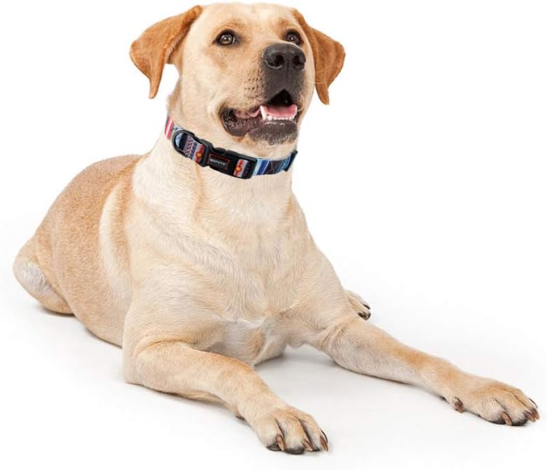 Collar con estampado para perro