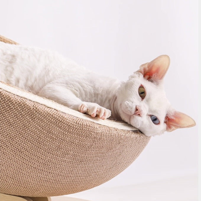 Cama rascadora para gatos con forma de cáscara de huevo
