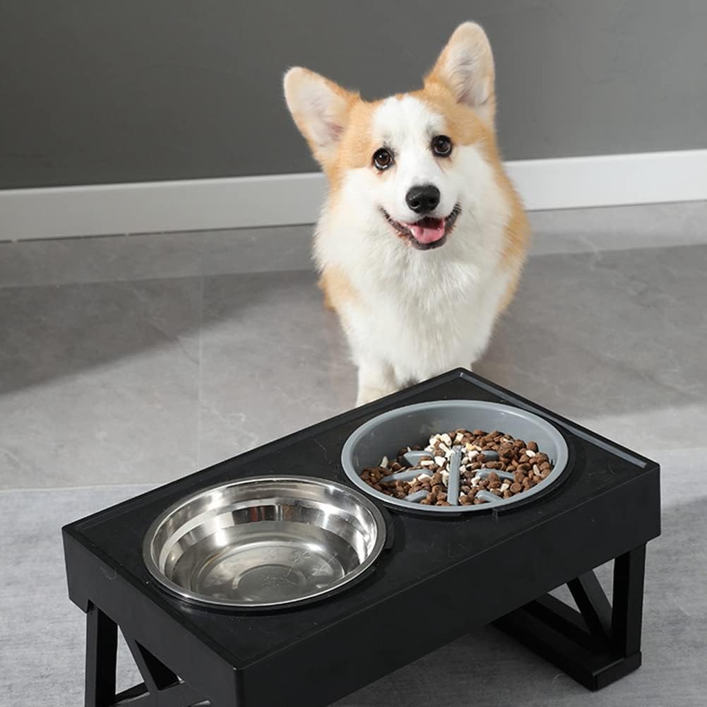 Comedero alto lento de 27.5cm de alto para perros Modelo #2