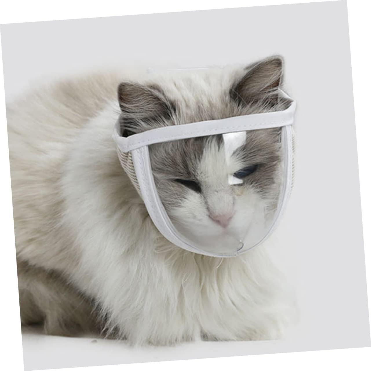 Bozal transparente para gatos pequeños